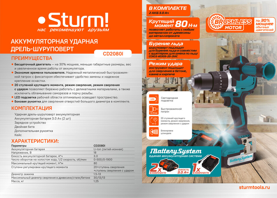 Аккумуляторный шуруповерт Sturm! CD2080I 1BatterySystem в Ростове-на-Дону в Ростове-на-Дону