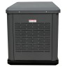 Генератор газовый EVOline GNG 9350 E