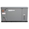 Генератор газовый EVOline GNG 19000 E
