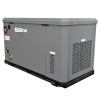 Генератор газовый EVOline GNG 19000 E