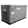 Генератор газовый EVOline GNG 19000 E