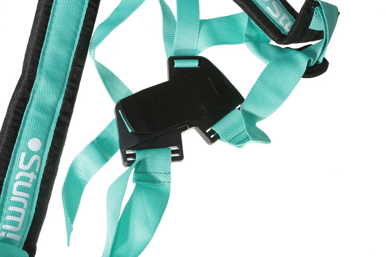 Триммер бензиновый Sturm! BT9152BL