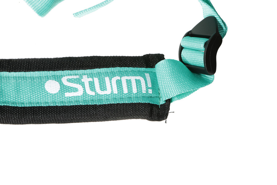 Триммер бензиновый Sturm! BT9152BL