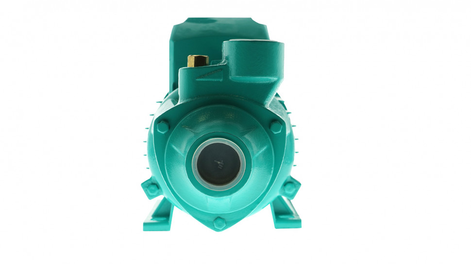 Насос поверхностный Sturm! WP9705A